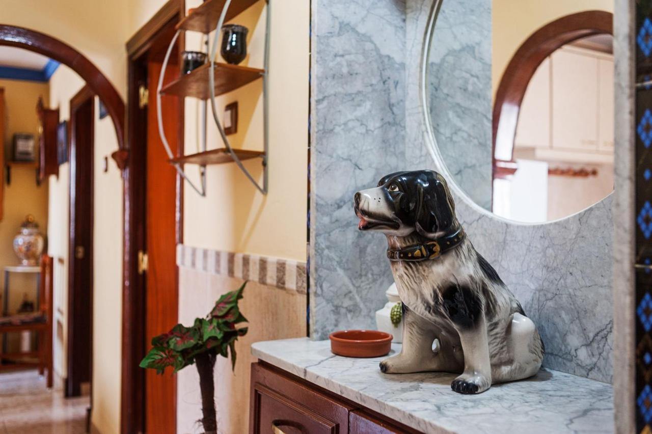 Apartamento Oliva バルバテ エクステリア 写真